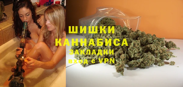 ПСИЛОЦИБИНОВЫЕ ГРИБЫ Карталы