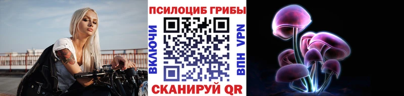 Галлюциногенные грибы Cubensis  Купить закладки  Киселёвск 