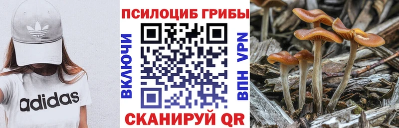 Псилоцибиновые грибы мухоморы Киселёвск